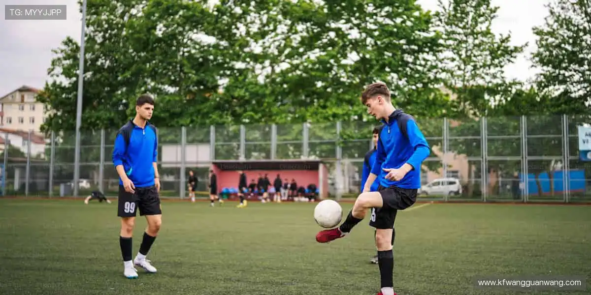 网络游戏社区建设：论坛攻略玩家创作，共建温暖游戏家园